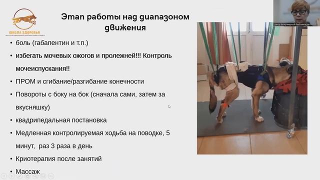 Елена Шпиндлер  "Реабилитация после травм"