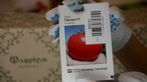 Томат Тарпан F1
