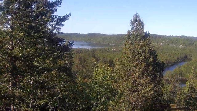 Река Средняя, слева Щукозеро, посредине Старица Northern river and oxbow 북쪽 北 vieille dame du nord смотреть онлайн