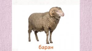 Развивающее видео для детей. Карточки Домана  Домашние животные