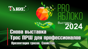 Коротко о нашем участии в VI Международной выставке "ПРО Яблоко - 2024" в Минеральных водах.