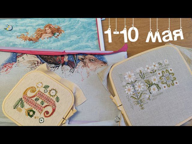 1-10 мая. Продвижения, финиш робина, старт русалки от Дименшенс смотреть онлайн