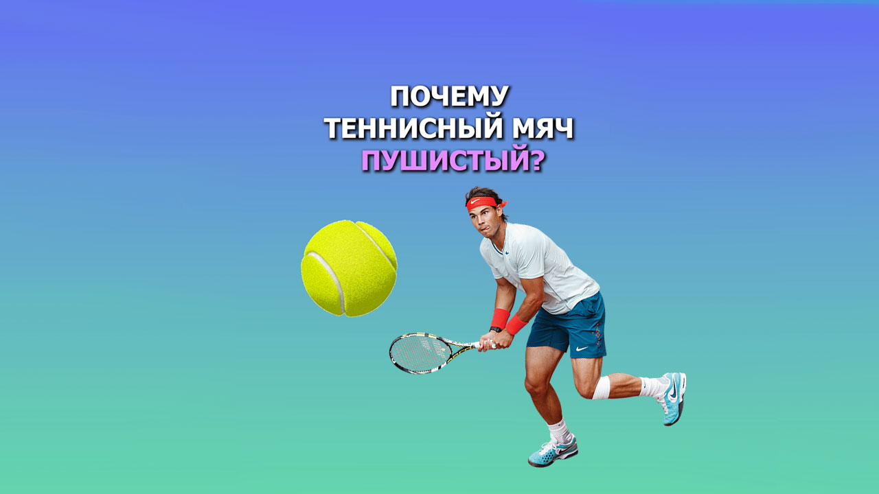 Https onlineschool 1 ru. Почему теннисный мяч пушистый. Почему теннисный мяч пушистый ответ. Основные правила работы с теннисными мячами. Почему теннисный мяч называют арабскими.