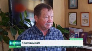 Что такое тюлений жир и с чем его едят?