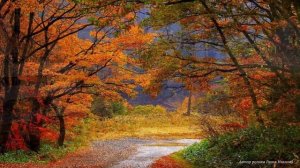 Красивая музыка для души - Я ПОДАРЮ ТЕБЕ ОСЕНЬ , Music Edgar Tuniyants..