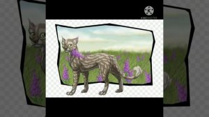 топ 10 самых красивых котов и серии книг "Коты Воители"
