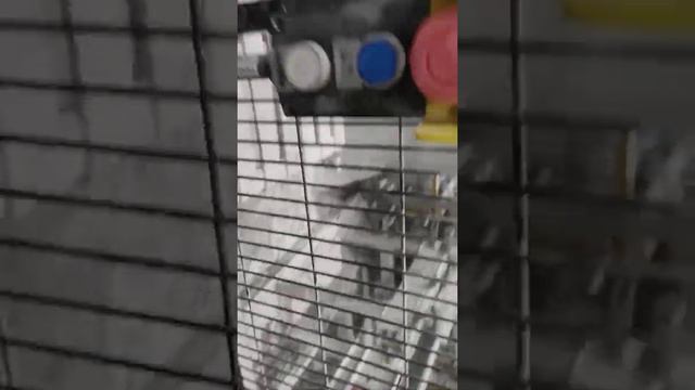 Не работает лента для одевания слингбегов. Решение проблемы. Часть 2. смотреть онлайн