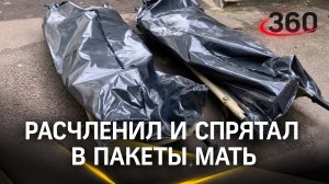 Фрагменты тела в мешках. Убил и расчленил мать житель Ленобласти. Его задержала полиция