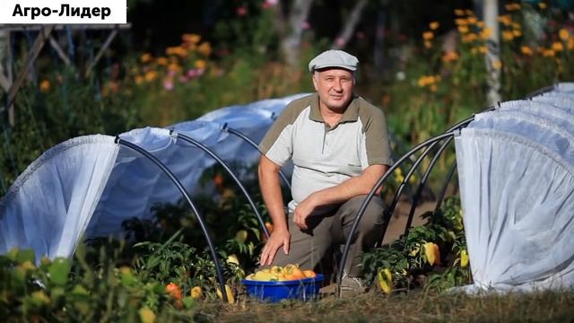 Парник Мини теплица из агроволокна спанбонд для дачи, рассады овощей Лидер
