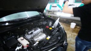 Shine Systems Motor Cleaner правильная мойка двигателя