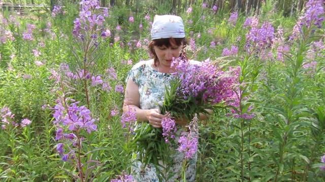 Анастасия Царегородцева. Лето