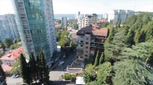 Вот где круто жить в Сочи. Вместо стен одни окна