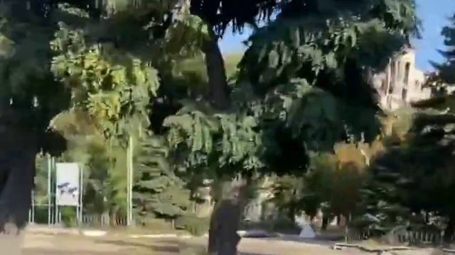 СВО НА Украине КАЗАКИ смотреть онлайн