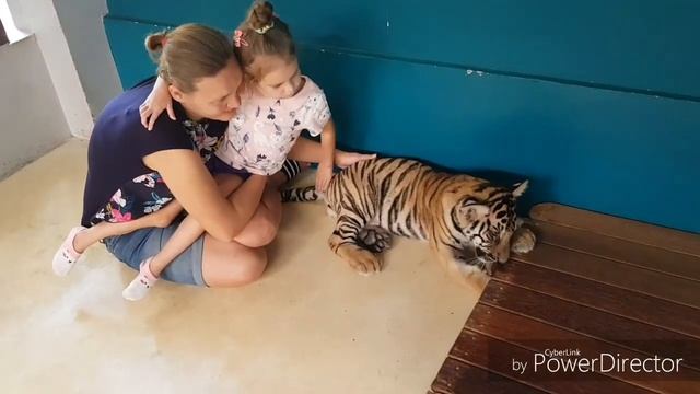 TIGER PARK). ПАРК ТИГРОВ). Паттайя. Тайланд. Гладим маленьких и супер милых тигрят). А Вы с нами!?)