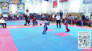 Чемпионат и первенство СЗФО по кикбоксингу завершились в Череповце