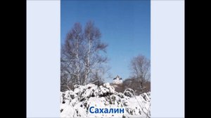 "Люблю березку русскую" видеоролик к интегрированному занятию "Берёзка - символ России"