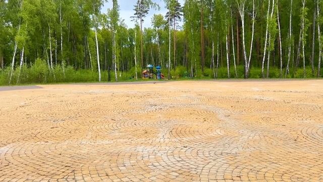 Честер счетовод / Не бывает бесполезных команд / ChesterKvik