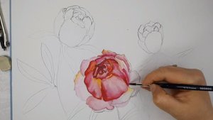 Раскройте свой потенциал в рисовании цветка Пиона.Урок рисования Акварелью