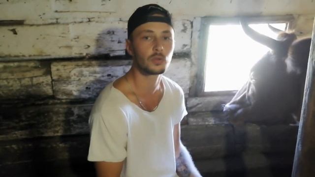 Сколько раз доить корову? Два или три!? // Личный опыт! ДОЙКА коровы! Деревенские разборки! смотреть онлайн