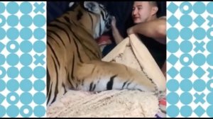 Гарик-Угарик в програме "Видели видео" 09.01.2022