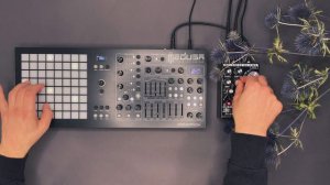 Dreadbox Polyend Medusa - Patches for Ambient, Techno and Electronica "Perseus Sound Pack"