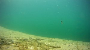 Вертушки и воблера под водой