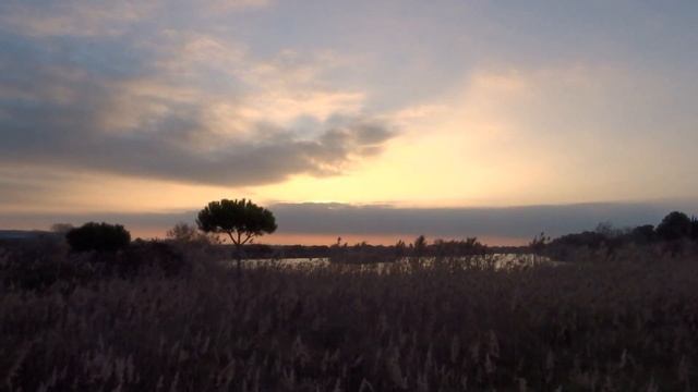 Высший Сердечный центр смотреть онлайн