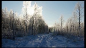 Новогодняя Песенка Снеженика