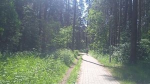 VID_20230613_120804.mp4