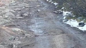 Субару Форестер лезет на Акташский ретранслятор