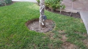 Как живут в Мексике? - Жесть! Дома из палок и веток...