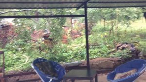 Чем покрасить железные столбы