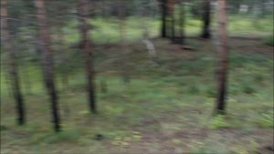 Классный самодельный вездеход-болотоход,первое испытание...