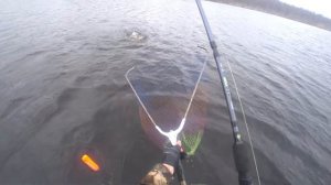 Щука на STRIKE PRO BIG BANDIT