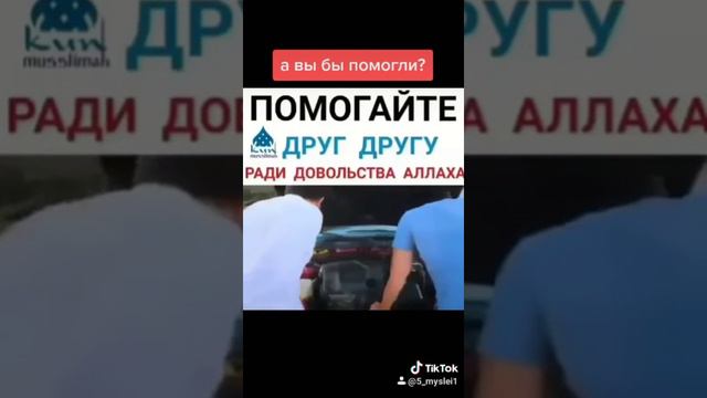 Помогает друг другу