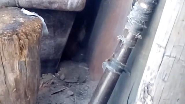 Что делает моя собака Милка 2. смотреть онлайн