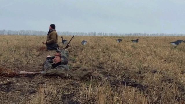 Охота на весеннего гуся,душа поет))).mp4 смотреть онлайн