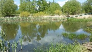 Как поймать карася на червя и настойку валерианы
