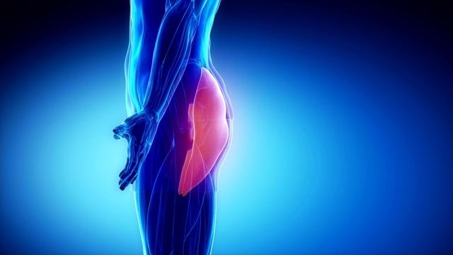 5 Minutos de Ejercicios de Estiramiento que te salvarán del dolor de Cadera y Lumbar смотреть онлайн