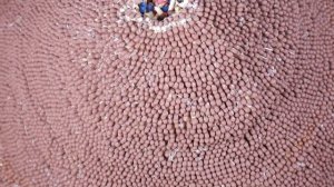 Домик из спичек