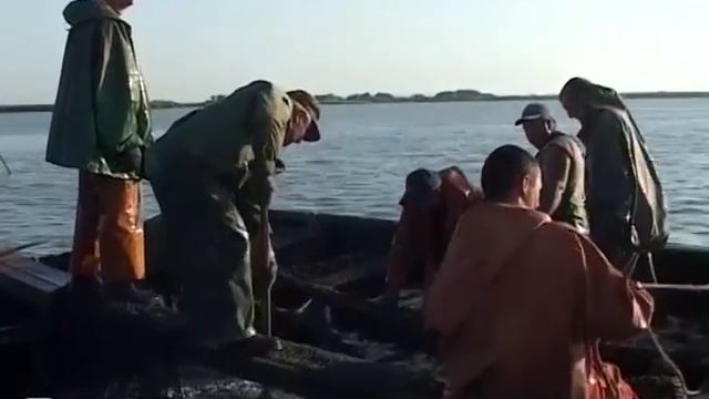 Запрет на промышленное рыболовство