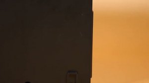 Ippon Back Basic 1500