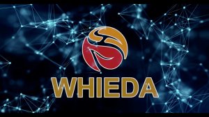 Высокотехнологичные компьютерные очки / WHIEDA