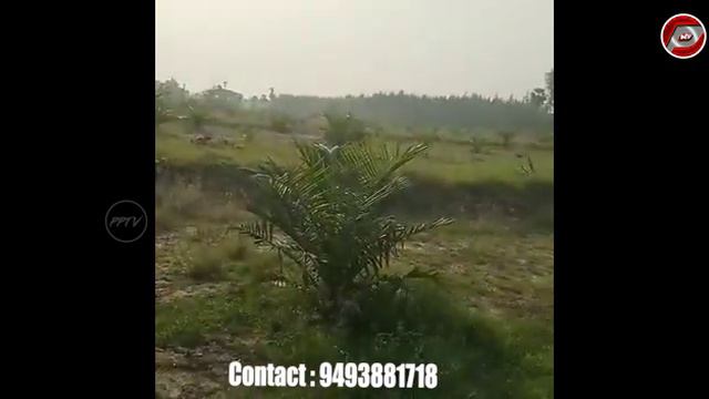 10 Acre Palm oil Garden For Sale at Anakapalli | Acre 28 Lakh Only | Compact Property | Property Tv смотреть онлайн