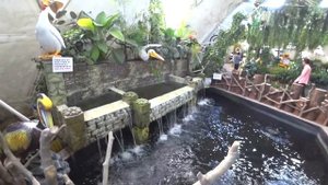DUBAI BUTTERFLY GARDEN. ПАРК БАБОЧЕК В ДУБАЙ