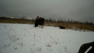 Отстрел патронов 30-06 (бюджетных) на кучность, брак Новосибирск