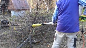 Ryobi RPP750S Штанговый сучкорез, обзор, обрезка сада, плюсы, минусы, применение, рекомендации.