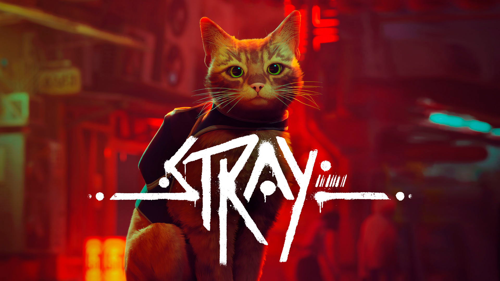 Stray ➪ # 9) Финал