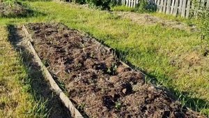 Компостер из "светофора",но главное не о нем...