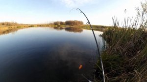 Как и на что ловить щуку осенью при бесклевье?